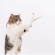 BOLA PLUMA PULA PULA PARA GATO